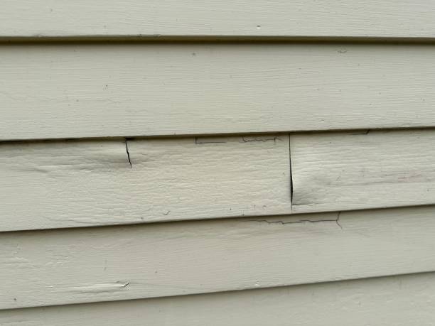 Best Shed Removal  in Starke, FL